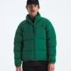 1996 Retro Nuptse DTM-jakke til mænd 1996 Retro Nuptse DTM-jakke til mænd