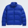 1996 Retro Nuptse DTM-jakke til mænd 1996 Retro Nuptse DTM-jakke til mænd