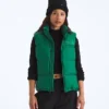 1996 Retro Nuptse DTM vest til kvinder 1996 Retro Nuptse DTM vest til kvinder