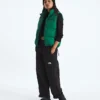 1996 Retro Nuptse DTM vest til kvinder 1996 Retro Nuptse DTM vest til kvinder