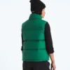 1996 Retro Nuptse DTM vest til kvinder 1996 Retro Nuptse DTM vest til kvinder