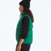 1996 Retro Nuptse DTM vest til kvinder 1996 Retro Nuptse DTM vest til kvinder