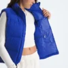 1996 Retro Nuptse DTM vest til kvinder 1996 Retro Nuptse DTM vest til kvinder