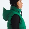 1996 Retro Nuptse DTM vest til kvinder 1996 Retro Nuptse DTM vest til kvinder