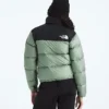 1996 Retro Nuptse jakke til kvinder 1996 Retro Nuptse jakke til kvinder