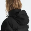 1996 Retro Nuptse jakke til kvinder 1996 Retro Nuptse jakke til kvinder