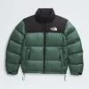 1996 Retro Nuptse jakke til mænd 1996 Retro Nuptse jakke til mænd