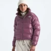 2000 Retro Nuptse jakke til kvinder 2000 Retro Nuptse jakke til kvinder