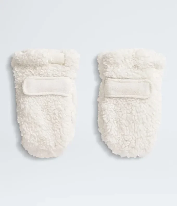 Baby Bear-luffer Baby Bear-luffer