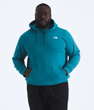 Big Evolution Simple Dome Hoodie til mænd