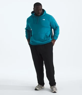 Big Evolution Simple Dome Hoodie til mænd