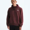 Evolution Box Camo Fill Hoodie til mænd – Grafik Evolution Box Camo Fill Hoodie til mænd – Grafik