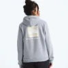 Evolution Box NSE Fill Light Hoodie til kvinder – Grafisk
