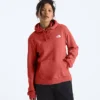 Evolution Box NSE Fill Light Hoodie til kvinder – Grafisk Evolution Box NSE Fill Light Hoodie til kvinder – Grafisk