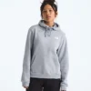 Evolution Box NSE Fill Light Hoodie til kvinder – Grafisk
