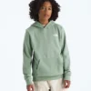 Evolution Box NSE pullover-hoodie til drenge og piger – Grafik