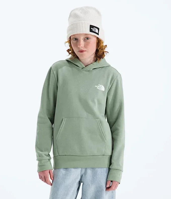 Evolution Box NSE pullover-hoodie til drenge og piger – Grafik