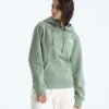 Evolution Box NSE Regular Hoodie til kvinder Evolution Box NSE Regular Hoodie til kvinder