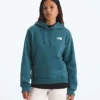 Evolution Box NSE Regular Hoodie til kvinder Evolution Box NSE Regular Hoodie til kvinder