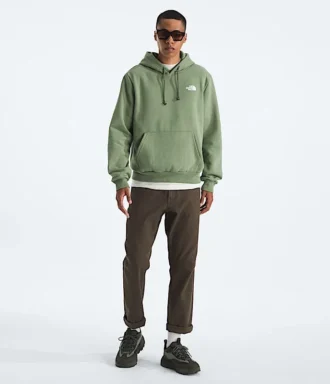 Evolution Box NSE Regular Hoodie til mænd
