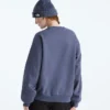 Evolution Simple Dome Oversized Crew til kvinder Evolution Simple Dome Oversized Crew til kvinder