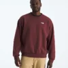 Evolution Simple Dome Oversized Crew til mænd Evolution Simple Dome Oversized Crew til mænd