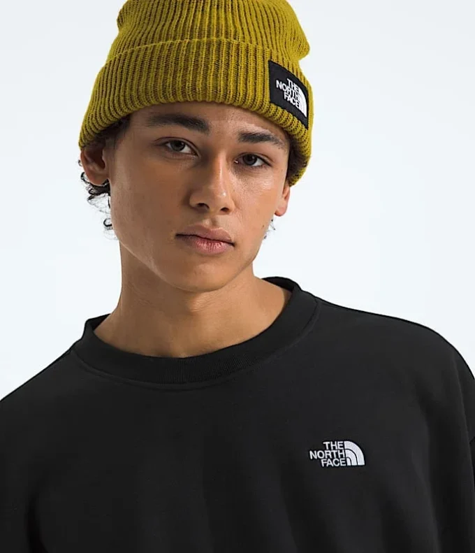 Evolution Simple Dome Oversized Crew til mænd Evolution Simple Dome Oversized Crew til mænd
