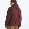 Evolution Simple Dome Oversized Hoodie til mænd Evolution Simple Dome Oversized Hoodie til mænd