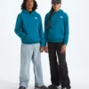 Evolution Simple Dome Pullover Hoodie til drenge og piger Evolution Simple Dome Pullover Hoodie til drenge og piger