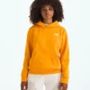 Evolution Simple Dome Pullover Hoodie til drenge og piger Evolution Simple Dome Pullover Hoodie til drenge og piger