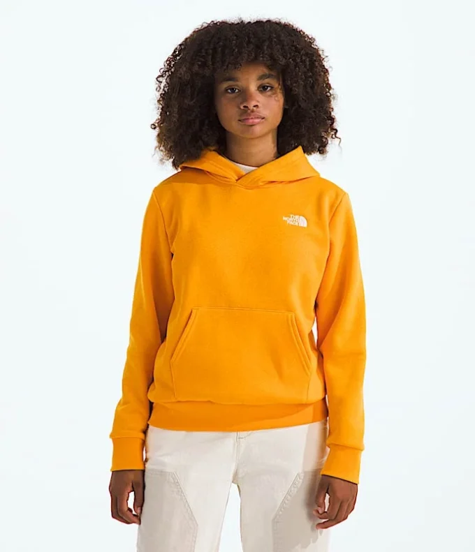 Evolution Simple Dome Pullover Hoodie til drenge og piger Evolution Simple Dome Pullover Hoodie til drenge og piger
