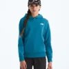 Evolution Simple Dome Pullover Hoodie til drenge og piger Evolution Simple Dome Pullover Hoodie til drenge og piger