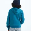 Evolution Simple Dome Pullover Hoodie til drenge og piger Evolution Simple Dome Pullover Hoodie til drenge og piger