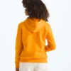 Evolution Simple Dome Pullover Hoodie til drenge og piger Evolution Simple Dome Pullover Hoodie til drenge og piger