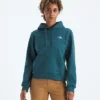 Evolution Simple Dome Regular Hoodie til kvinder Evolution Simple Dome Regular Hoodie til kvinder