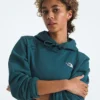 Evolution Simple Dome Regular Hoodie til kvinder Evolution Simple Dome Regular Hoodie til kvinder
