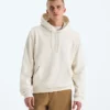 Evolution Simple Dome Regular Hoodie til mænd Evolution Simple Dome Regular Hoodie til mænd