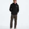 Evolution Simple Dome Regular Hoodie til mænd Evolution Simple Dome Regular Hoodie til mænd