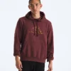 Evolution TNF™ MTN Hoodie til mænd – Grafik Evolution TNF™ MTN Hoodie til mænd – Grafik