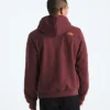 Evolution TNF™ MTN Hoodie til mænd – Grafik Evolution TNF™ MTN Hoodie til mænd – Grafik