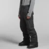 Freedom Insulated Pants til mænd Freedom Insulated Pants til mænd