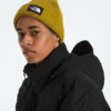 RMST GORE-TEX® Nuptse Tek jakke til mænd RMST GORE-TEX® Nuptse Tek jakke til mænd