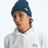 Salty Lined Beanie