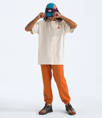 T-shirt med korte ærmer til mænd TNF Red Box Kilimanjaro Heavyweight Tee