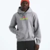 TNF™ Essential Expedition Series Hoodie til mænd – Grafik TNF™ Essential Expedition Series Hoodie til mænd – Grafik