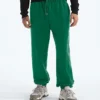 TNF™ Essential Simple Dome Relaxed bukser til mænd TNF™ Essential Simple Dome Relaxed bukser til mænd