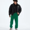 TNF™ Essential Simple Dome Relaxed bukser til mænd TNF™ Essential Simple Dome Relaxed bukser til mænd