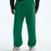 TNF™ Essential Simple Dome Relaxed bukser til mænd TNF™ Essential Simple Dome Relaxed bukser til mænd