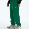 TNF™ Essential Simple Dome Relaxed bukser til mænd TNF™ Essential Simple Dome Relaxed bukser til mænd