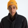 TNF™ Logo Box Cuffed Beanie TNF™ Logo Box Cuffed Beanie